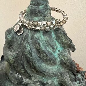 Alex and Ani semi precious beaded wrap bracelet.